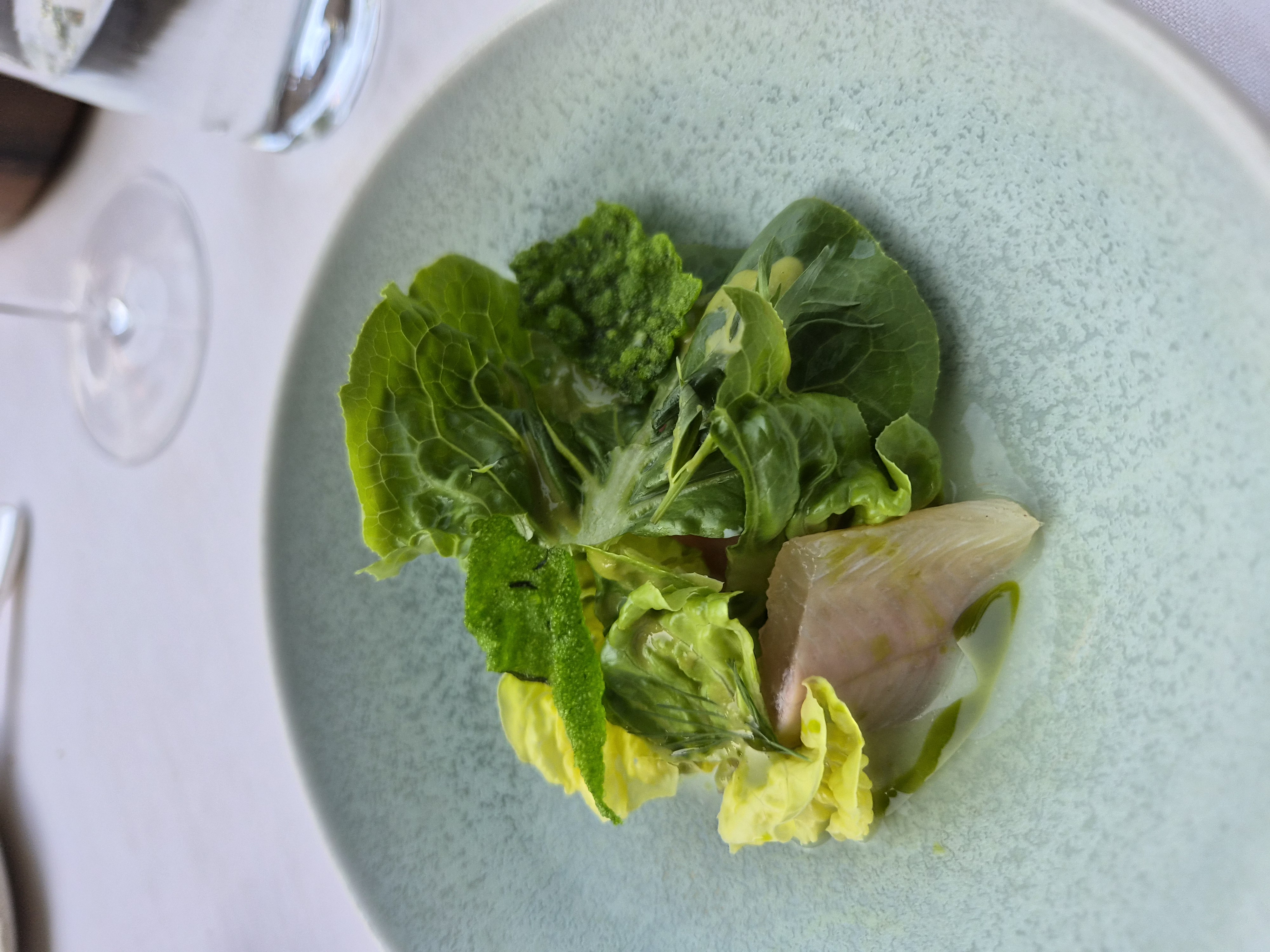 Vorspeise in Grün im Restaurant Stucki